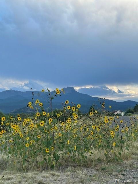 MLS Image #28 for 226  adam road,trinidad, Colorado