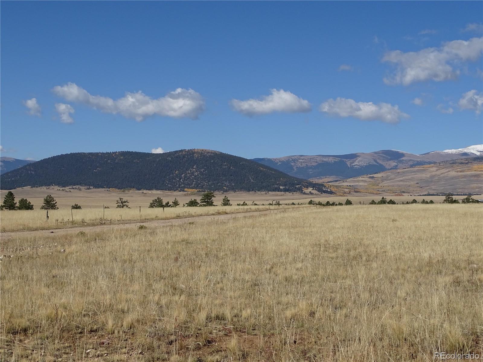 Report Image for 889  Rudisill Street,Fairplay, Colorado