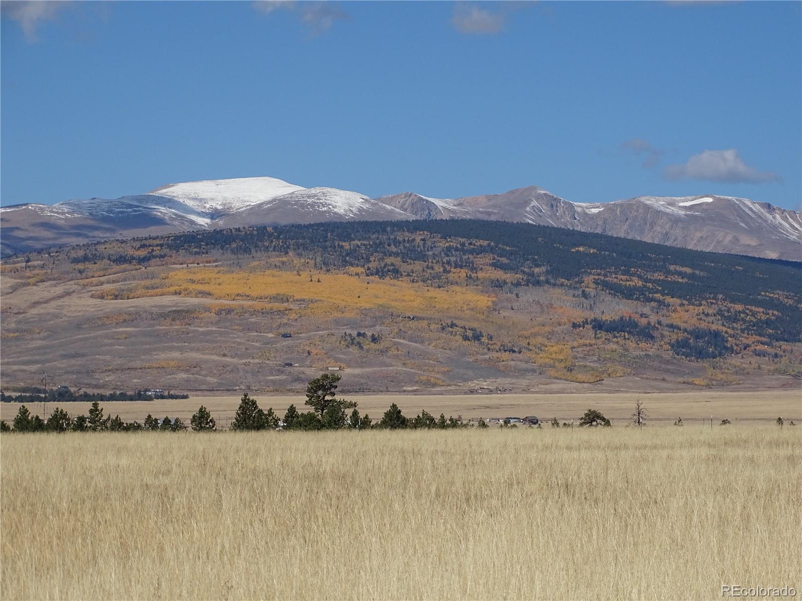 MLS Image #27 for 889  rudisill street,fairplay, Colorado