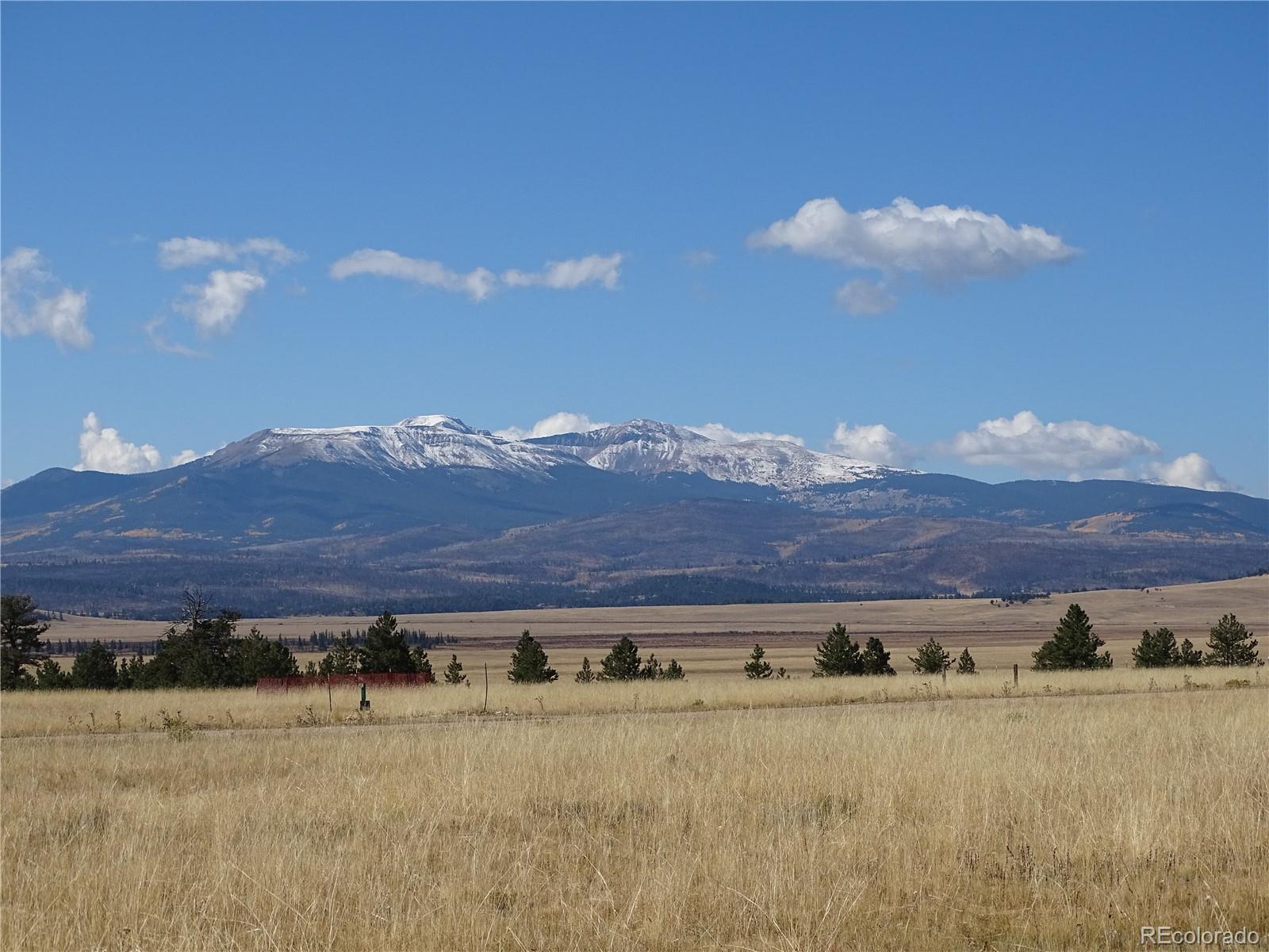 MLS Image #4 for 889  rudisill street,fairplay, Colorado