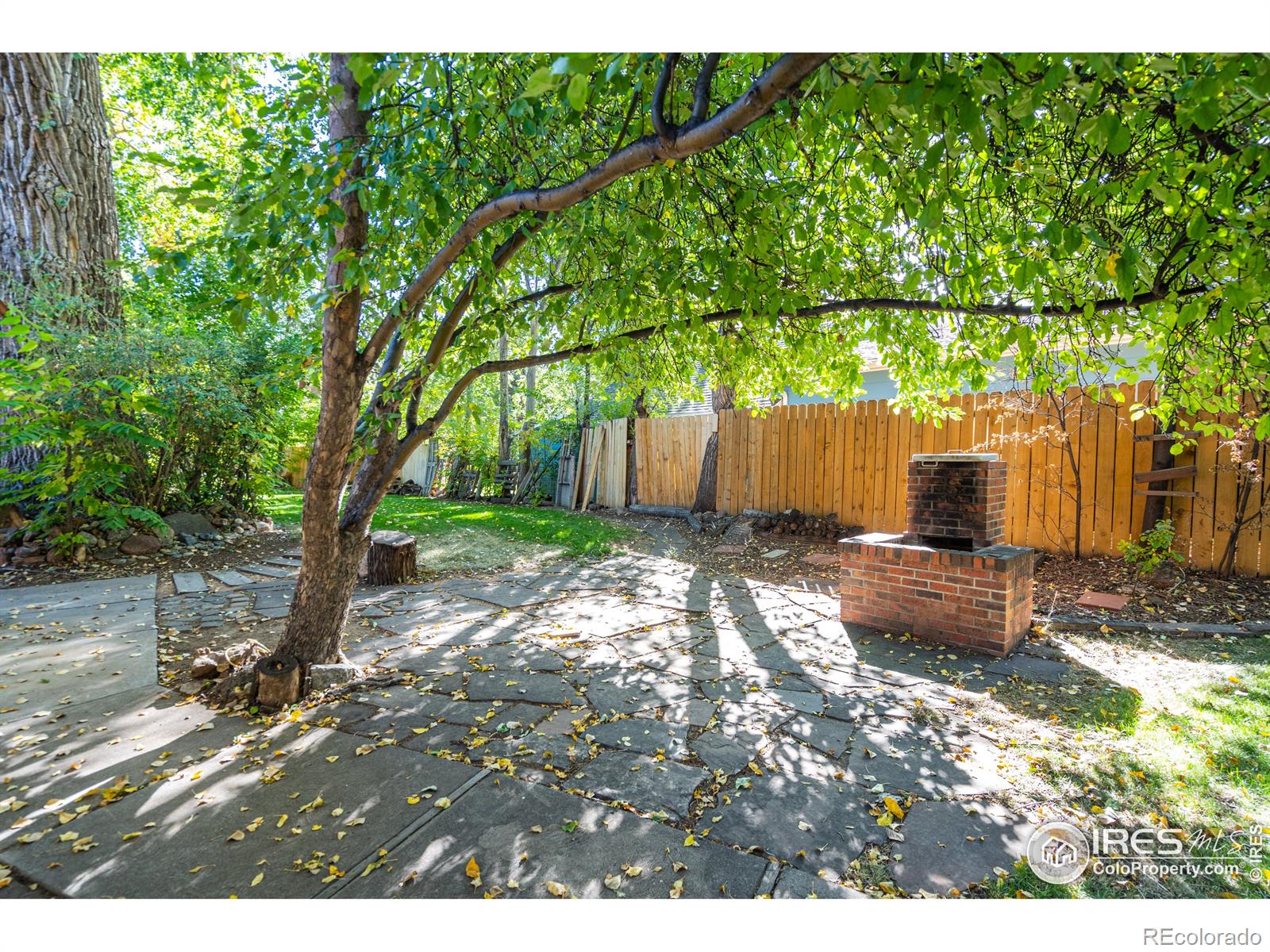 MLS Image #34 for 800  stover street,fort collins, Colorado