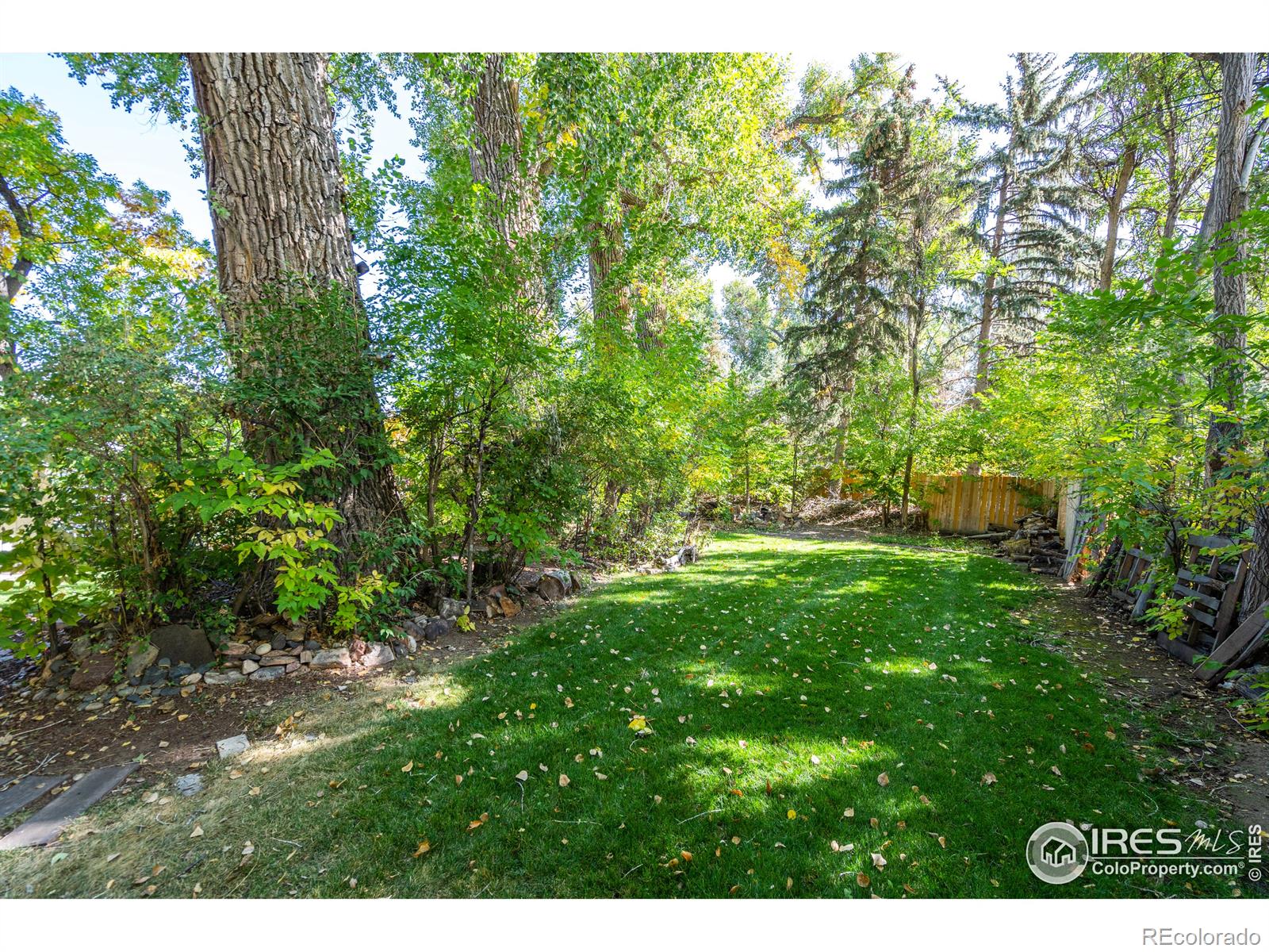 MLS Image #38 for 800  stover street,fort collins, Colorado