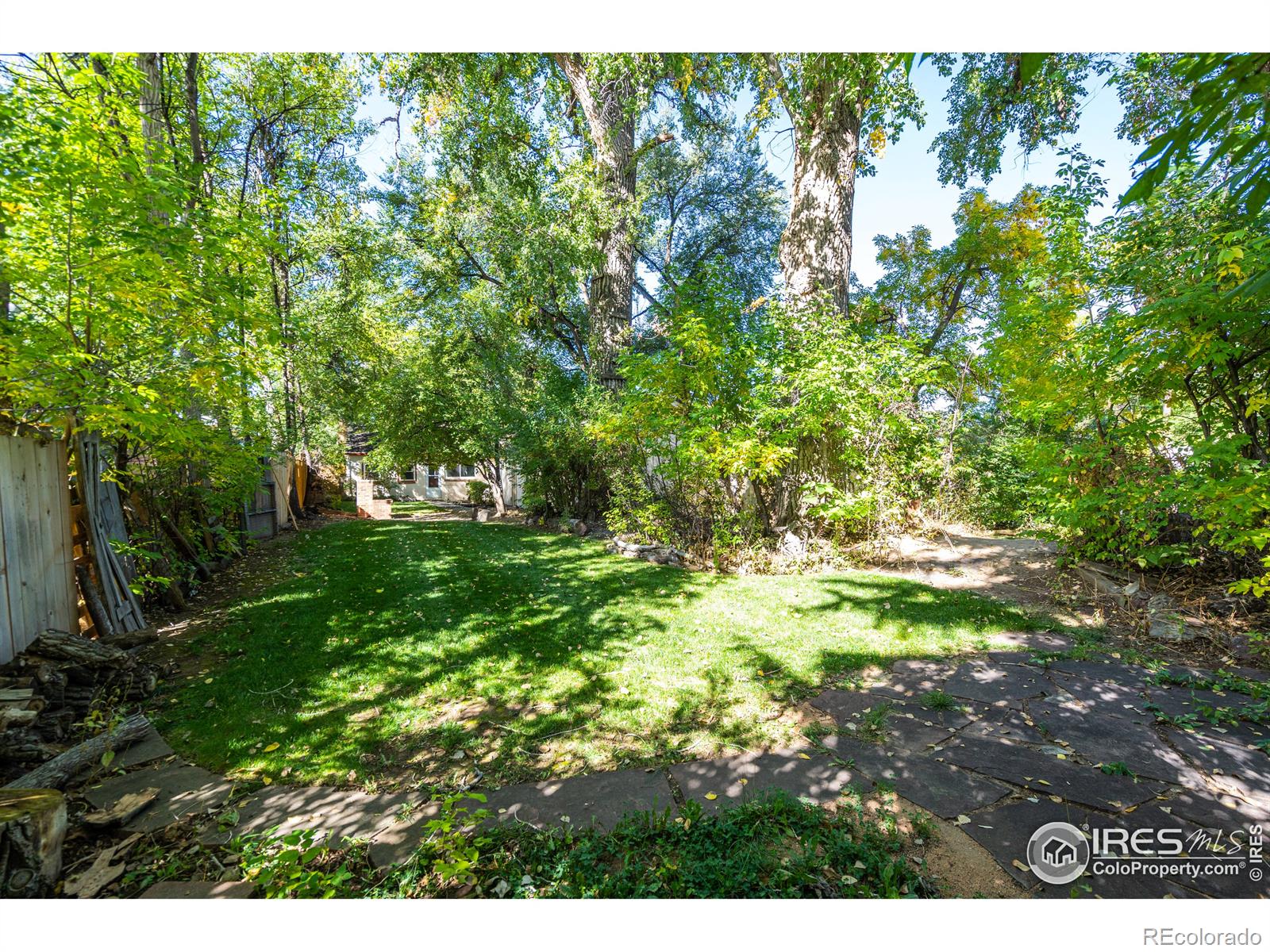 MLS Image #39 for 800  stover street,fort collins, Colorado