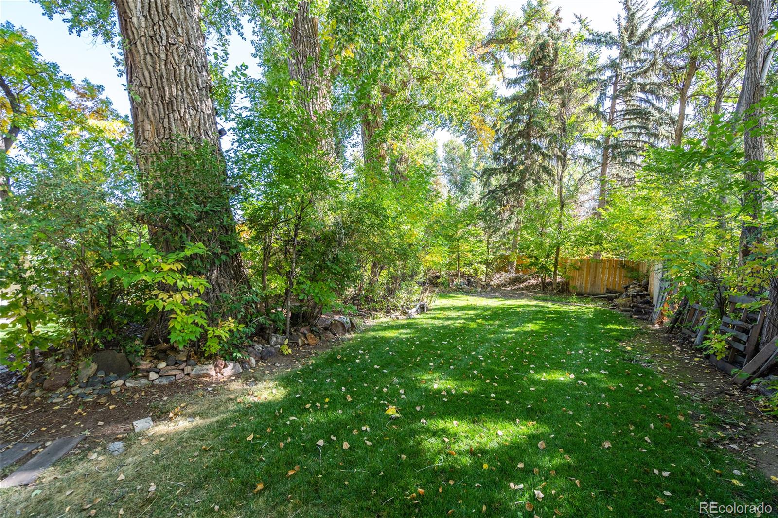 MLS Image #38 for 800  stover street,fort collins, Colorado