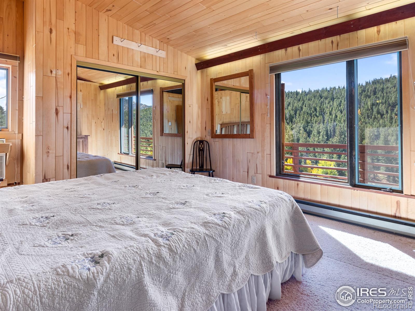 MLS Image #15 for 2148  mcgraw ranch road,estes park, Colorado