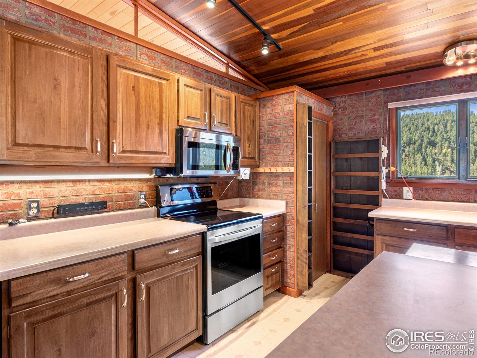 MLS Image #5 for 2148  mcgraw ranch road,estes park, Colorado