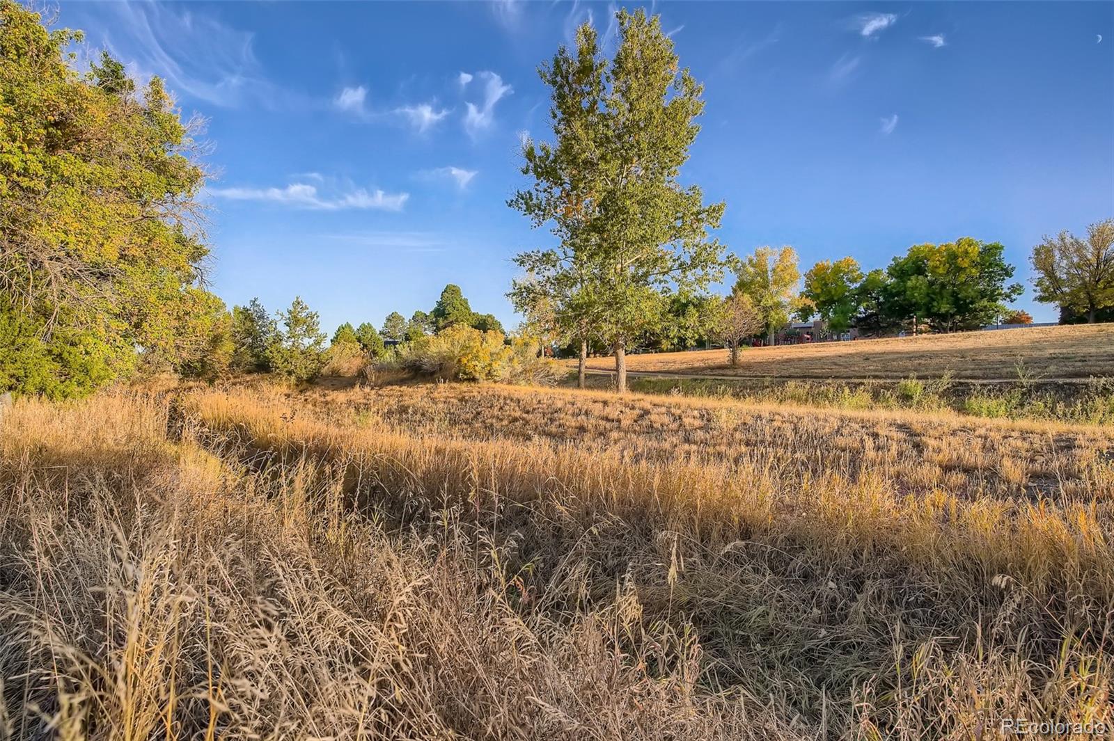 MLS Image #27 for 6478 w kenyon avenue,denver, Colorado