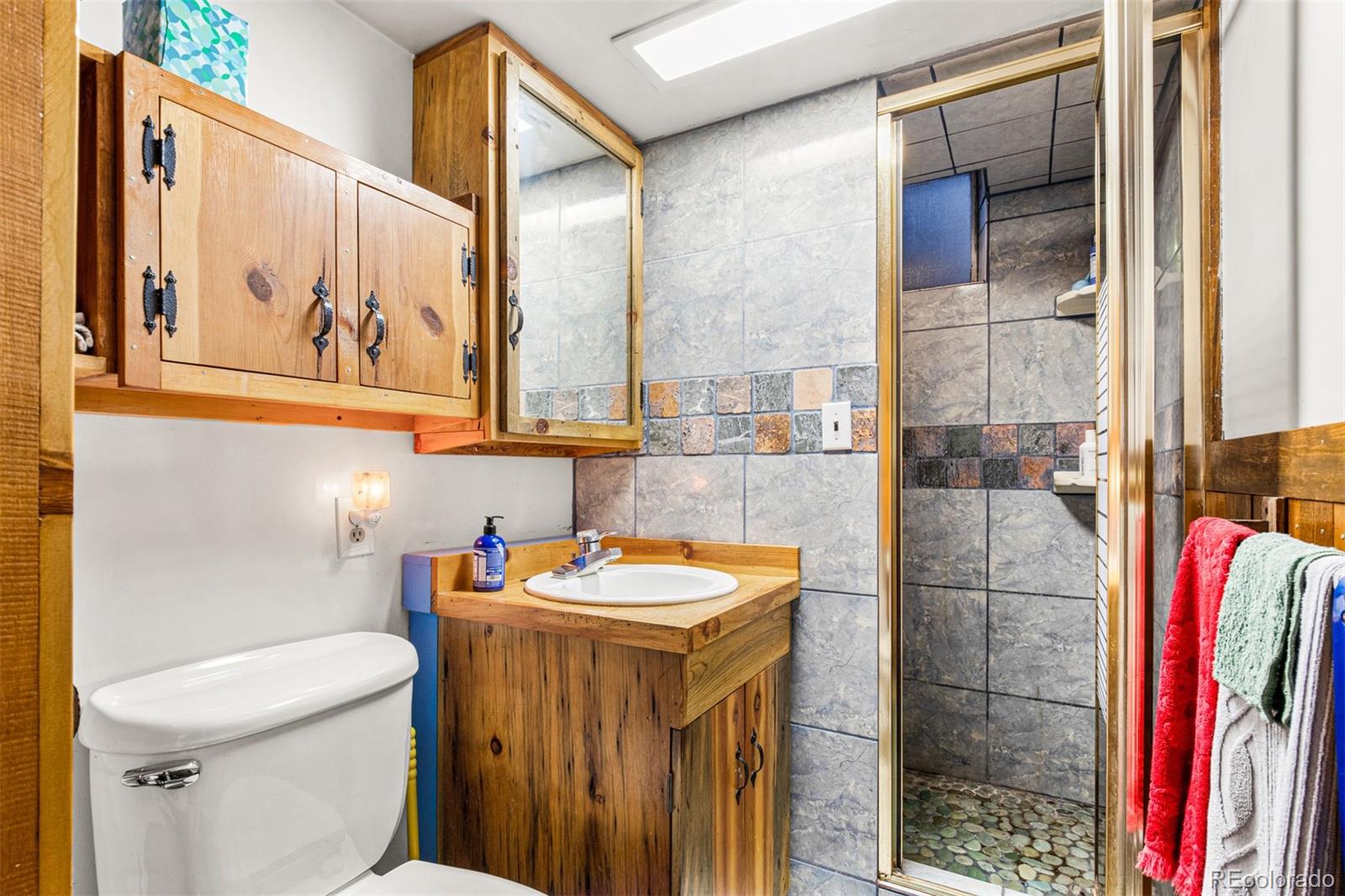 MLS Image #24 for 3024 w tanforan drive,englewood, Colorado