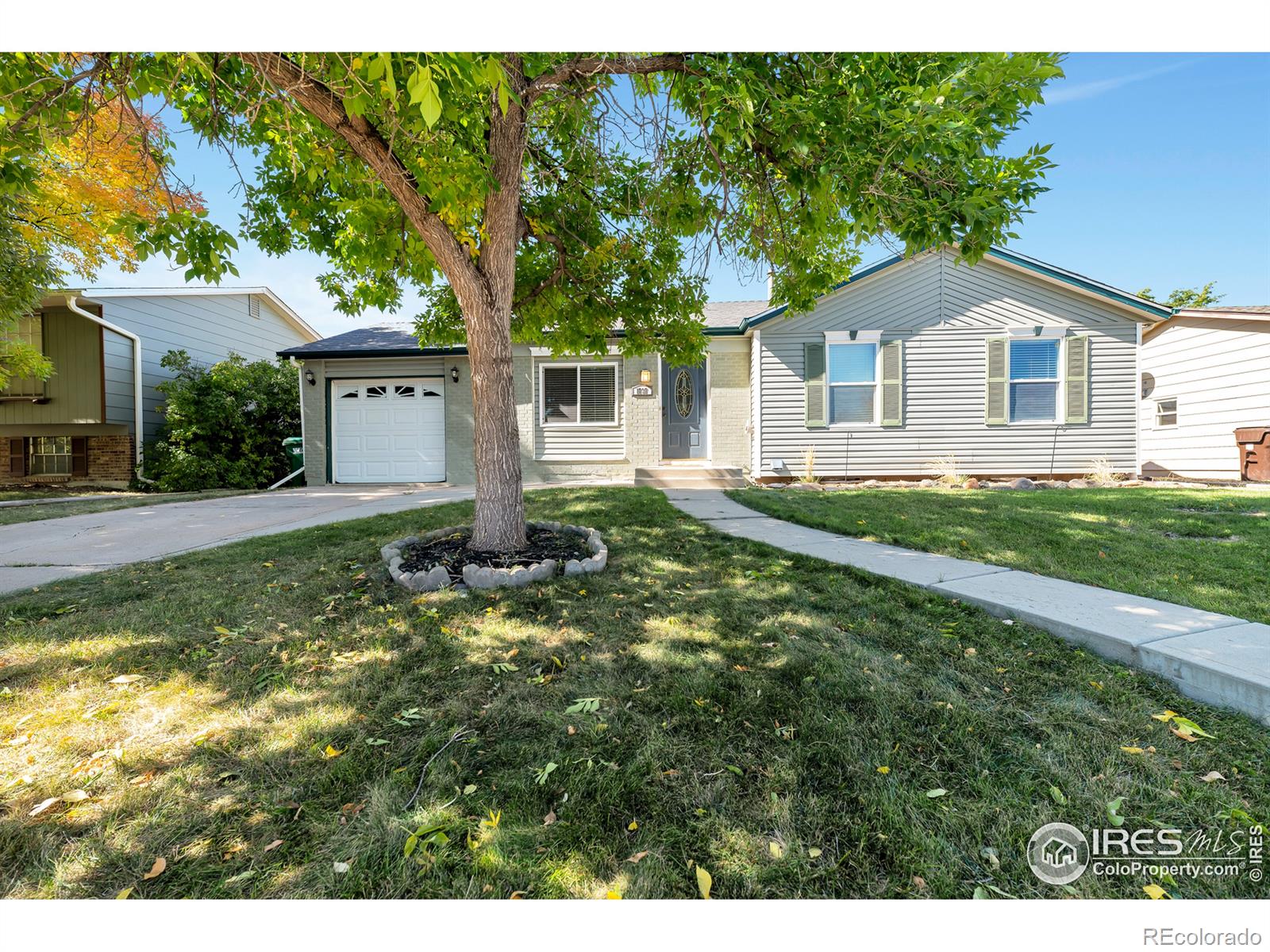 MLS Image #0 for 1737  dexter street,broomfield, Colorado