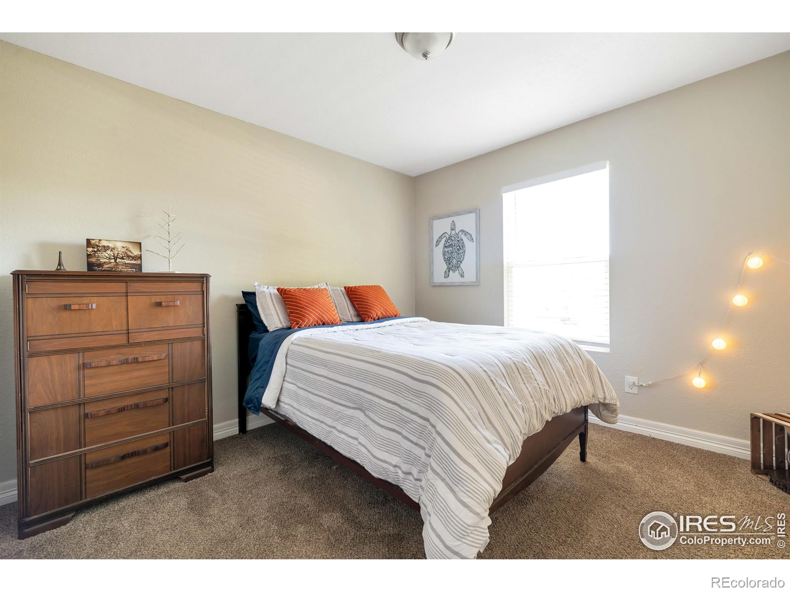 MLS Image #11 for 1737  dexter street,broomfield, Colorado