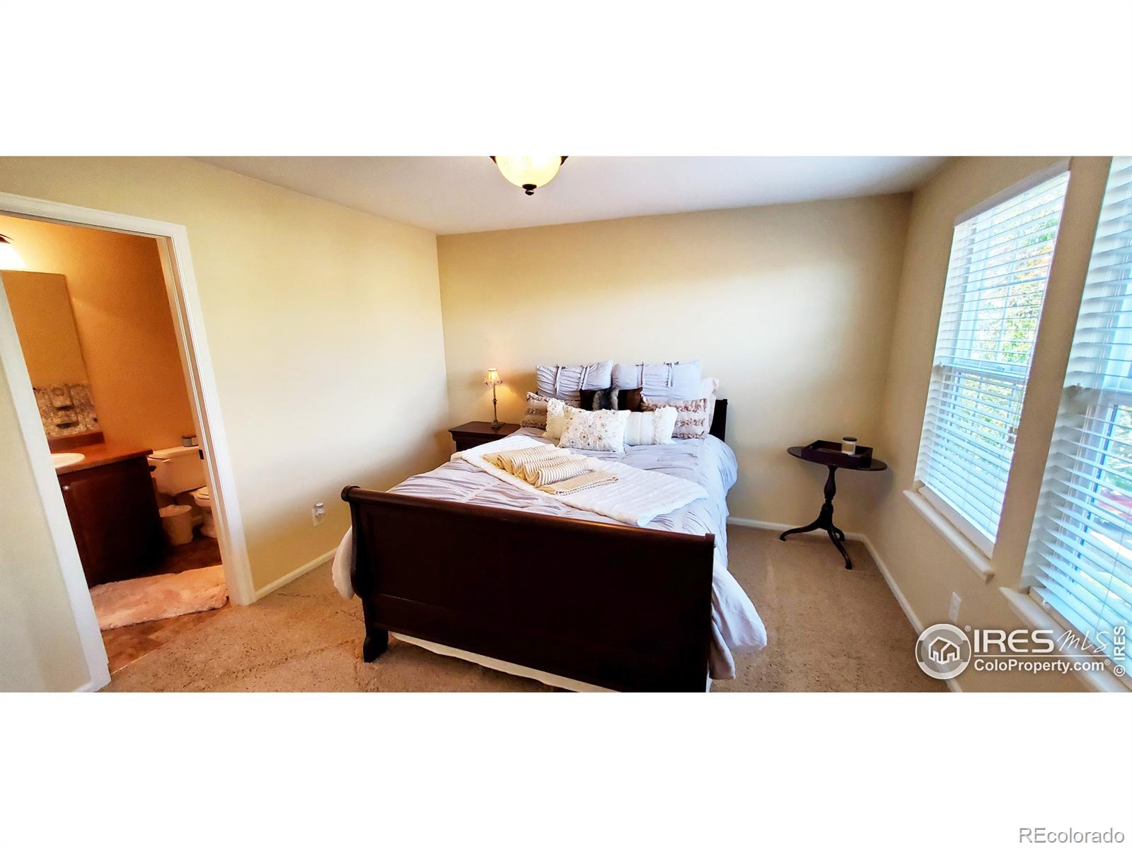 MLS Image #20 for 3730  hughes drive,mead, Colorado