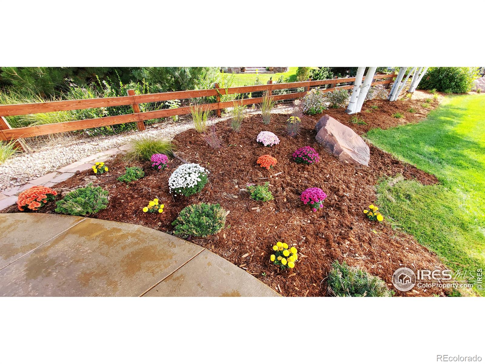 MLS Image #33 for 3730  hughes drive,mead, Colorado