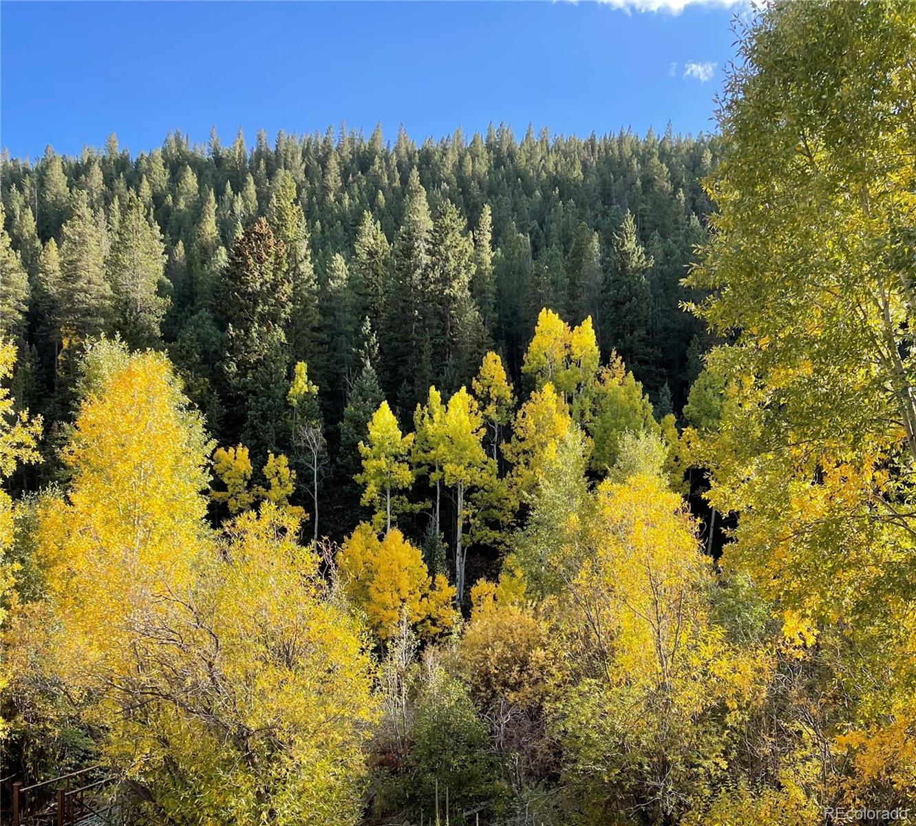 MLS Image #29 for 824  apex valley road,black hawk, Colorado