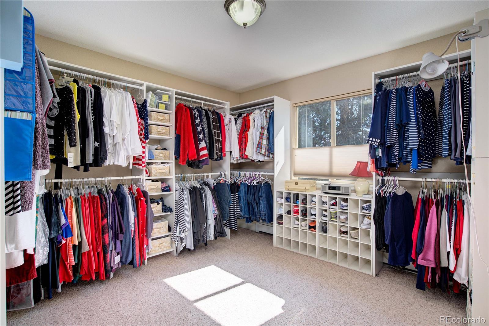 MLS Image #22 for 2616 e vine drive,fort collins, Colorado