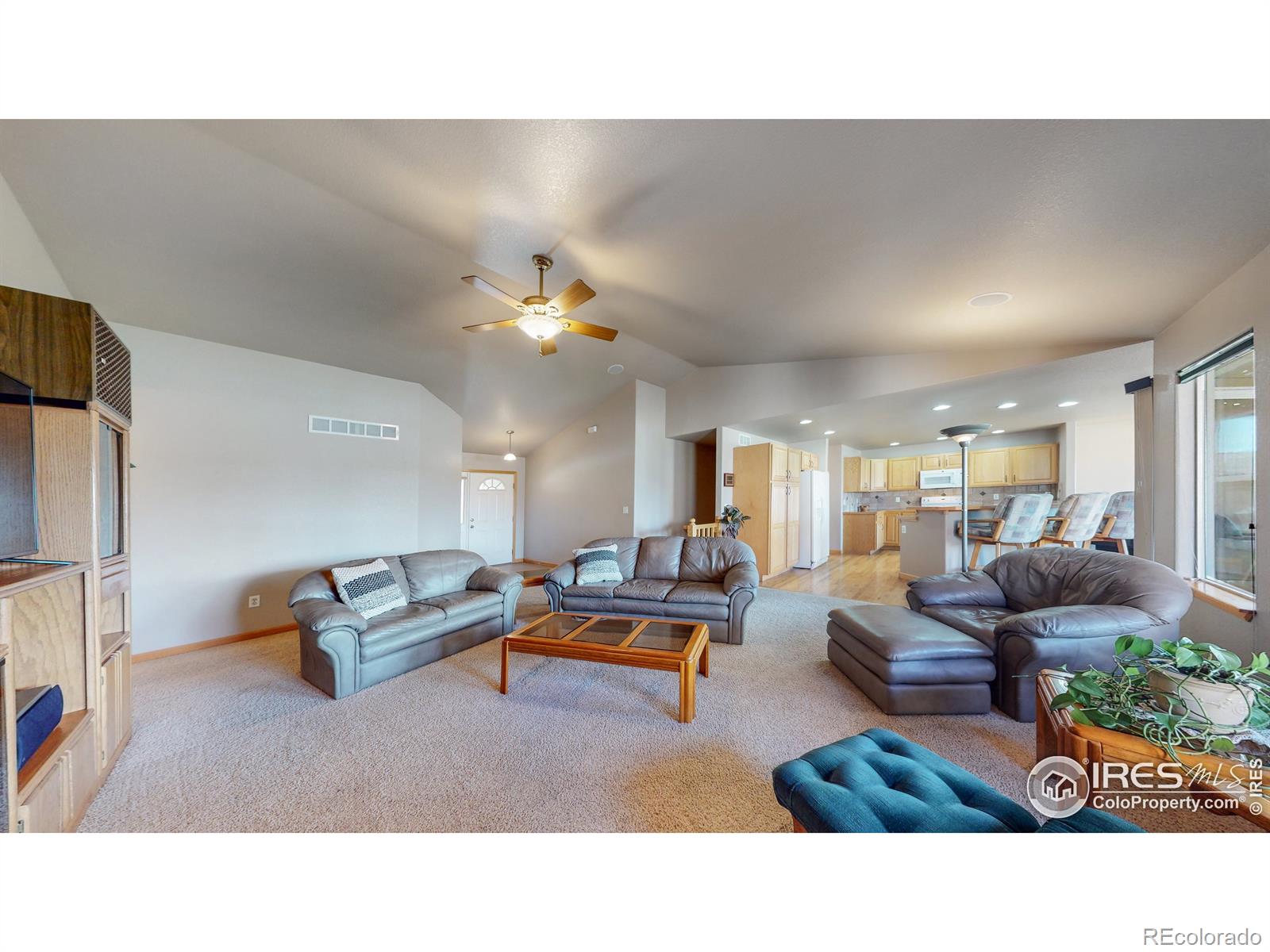 MLS Image #4 for 1107  green ridge drive,severance, Colorado
