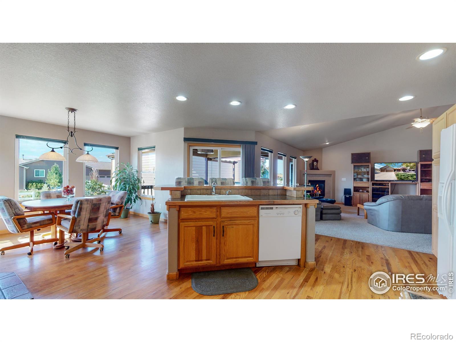 MLS Image #9 for 1107  green ridge drive,severance, Colorado