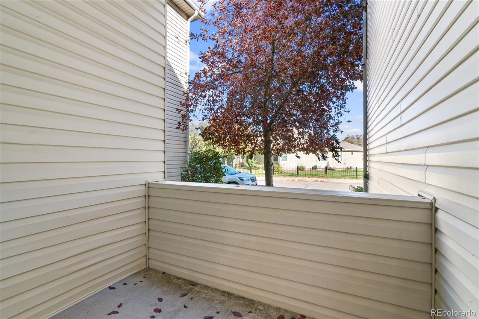 MLS Image #14 for 18024  becket drive,parker, Colorado