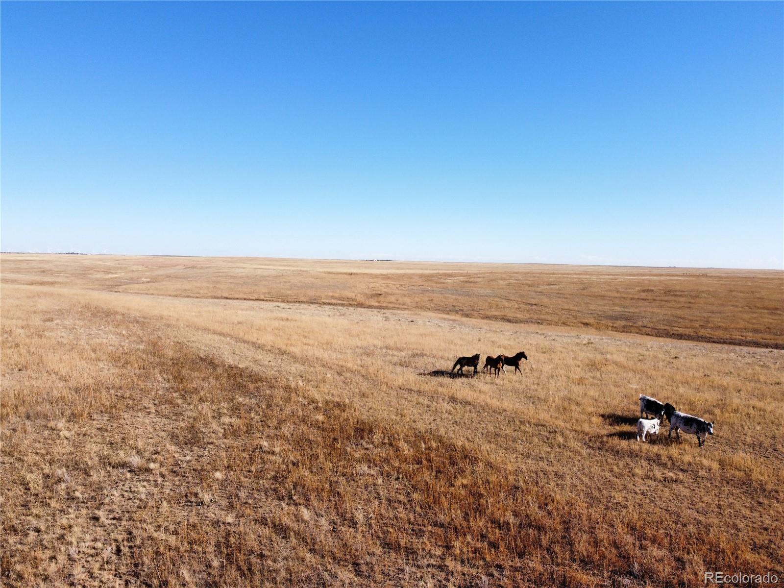 MLS Image #31 for 37461  county road 26 ,ramah, Colorado