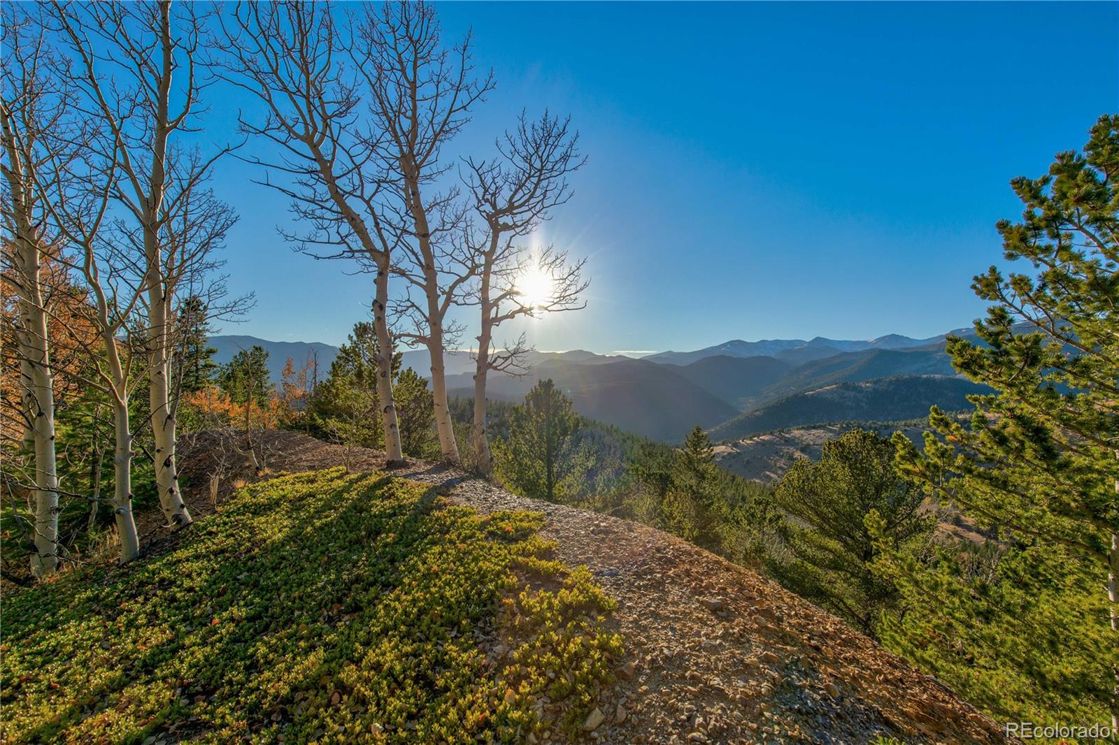 MLS Image #1 for 121  consolidated ditch road,idaho springs, Colorado