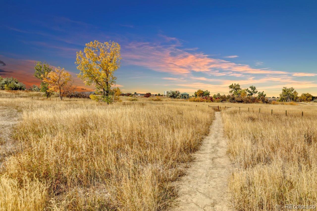 MLS Image #24 for 10350  tumbleweed drive,thornton, Colorado