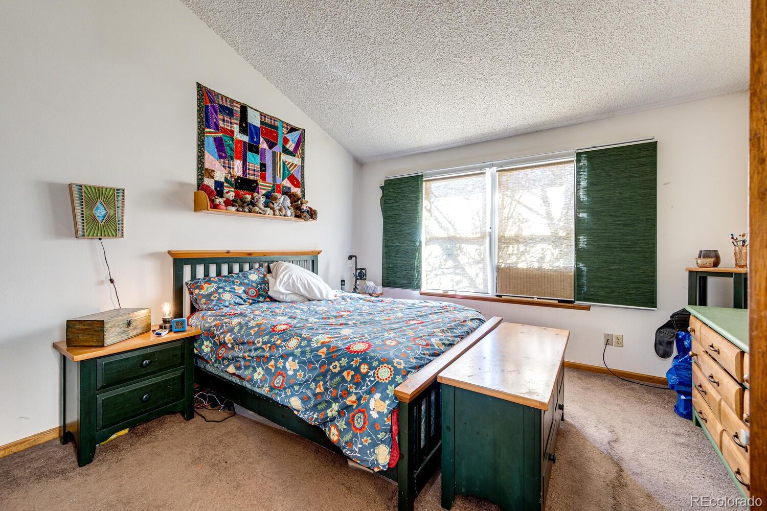 MLS Image #14 for 8515  bitter bush way,colorado springs, Colorado