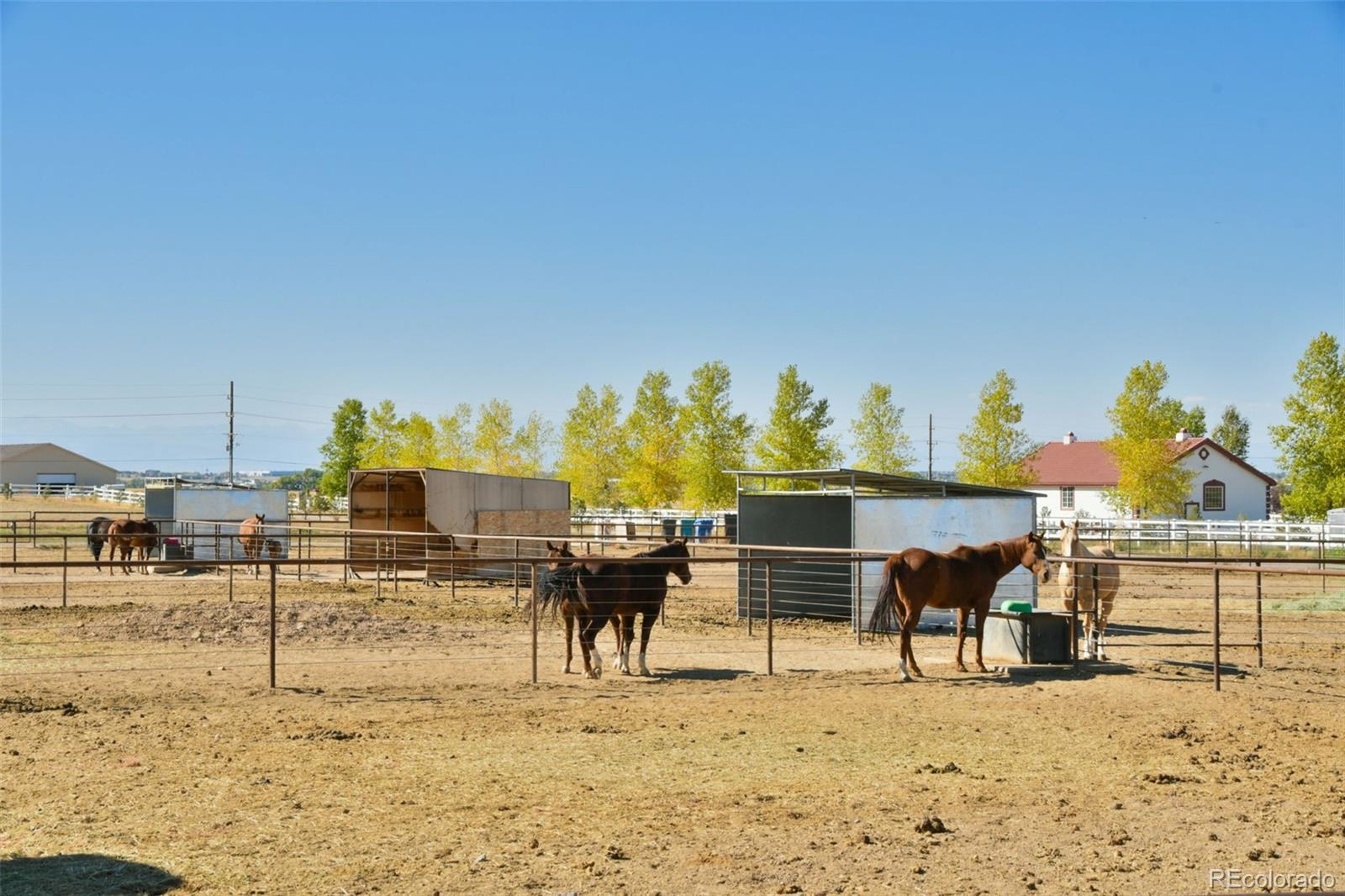 MLS Image #34 for 14440  harvest road,brighton, Colorado