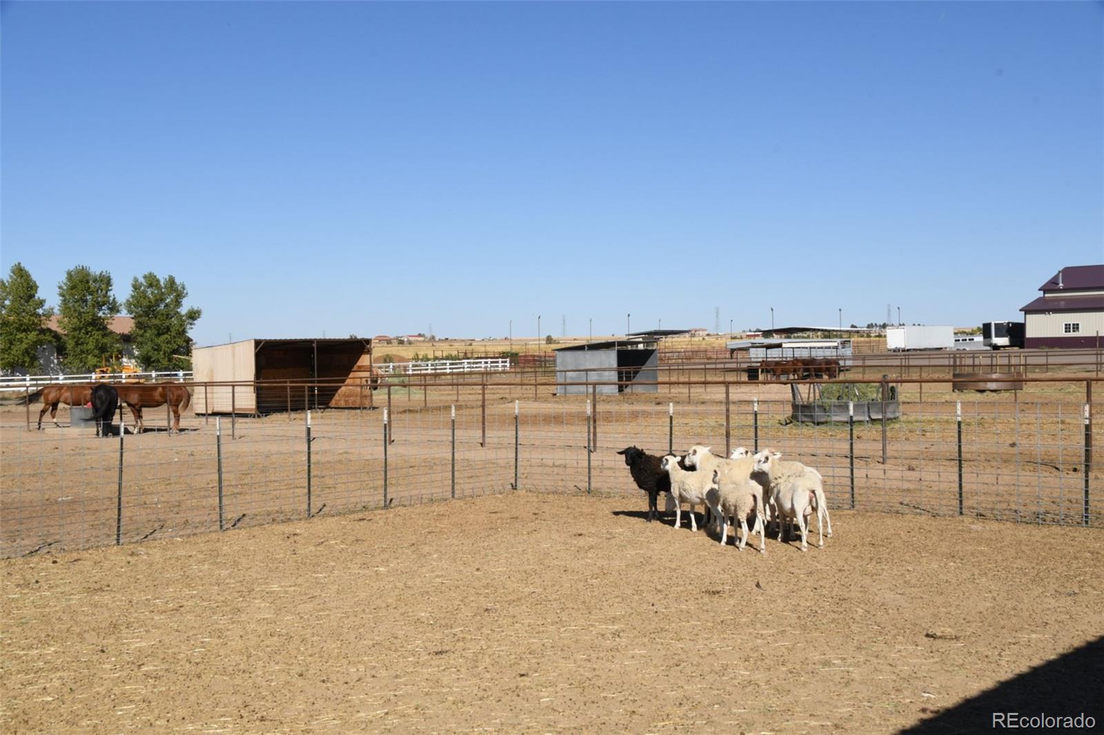 MLS Image #35 for 14440  harvest road,brighton, Colorado