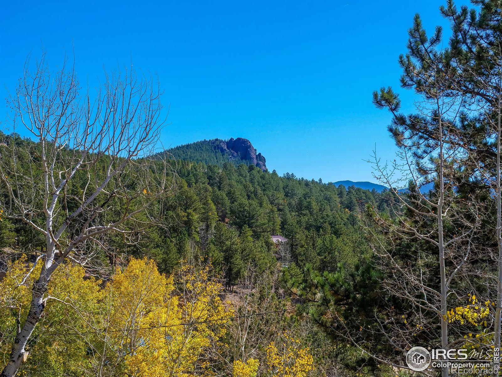 MLS Image #19 for 43  owl drive,rollinsville, Colorado