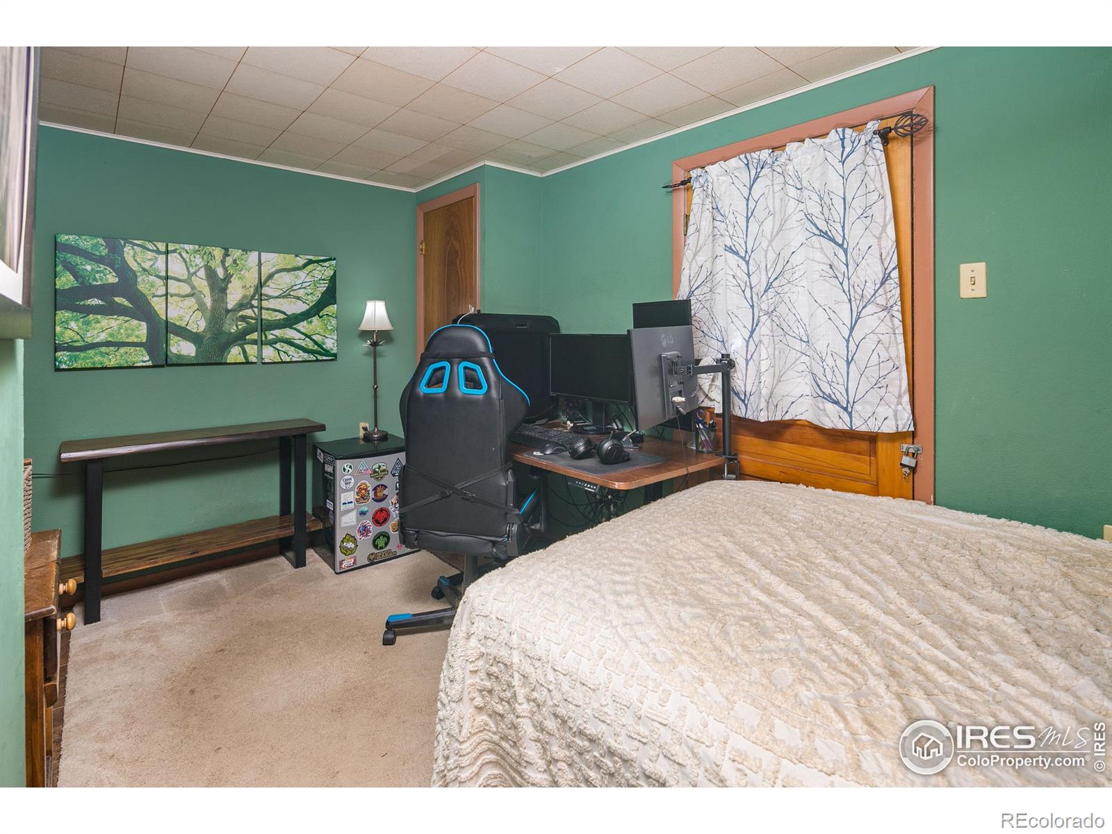 MLS Image #25 for 43  owl drive,rollinsville, Colorado