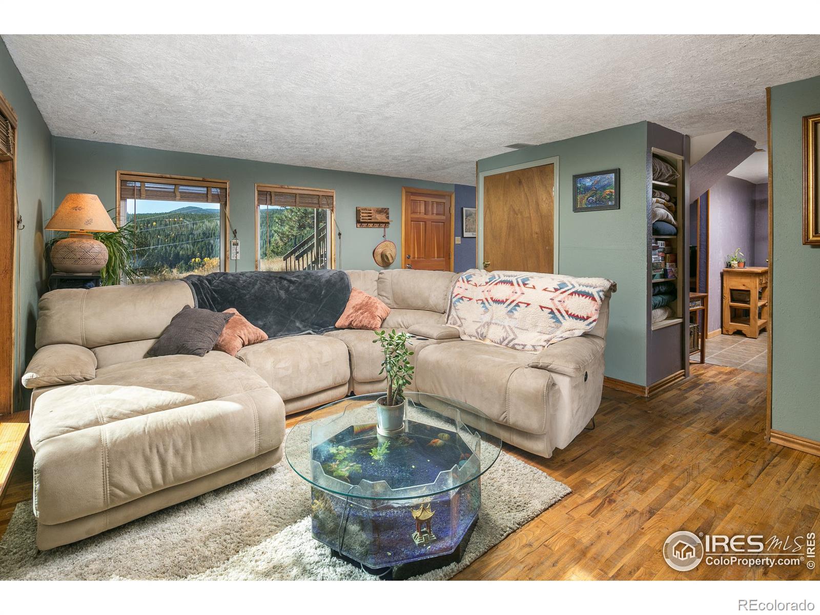 MLS Image #4 for 43  owl drive,rollinsville, Colorado