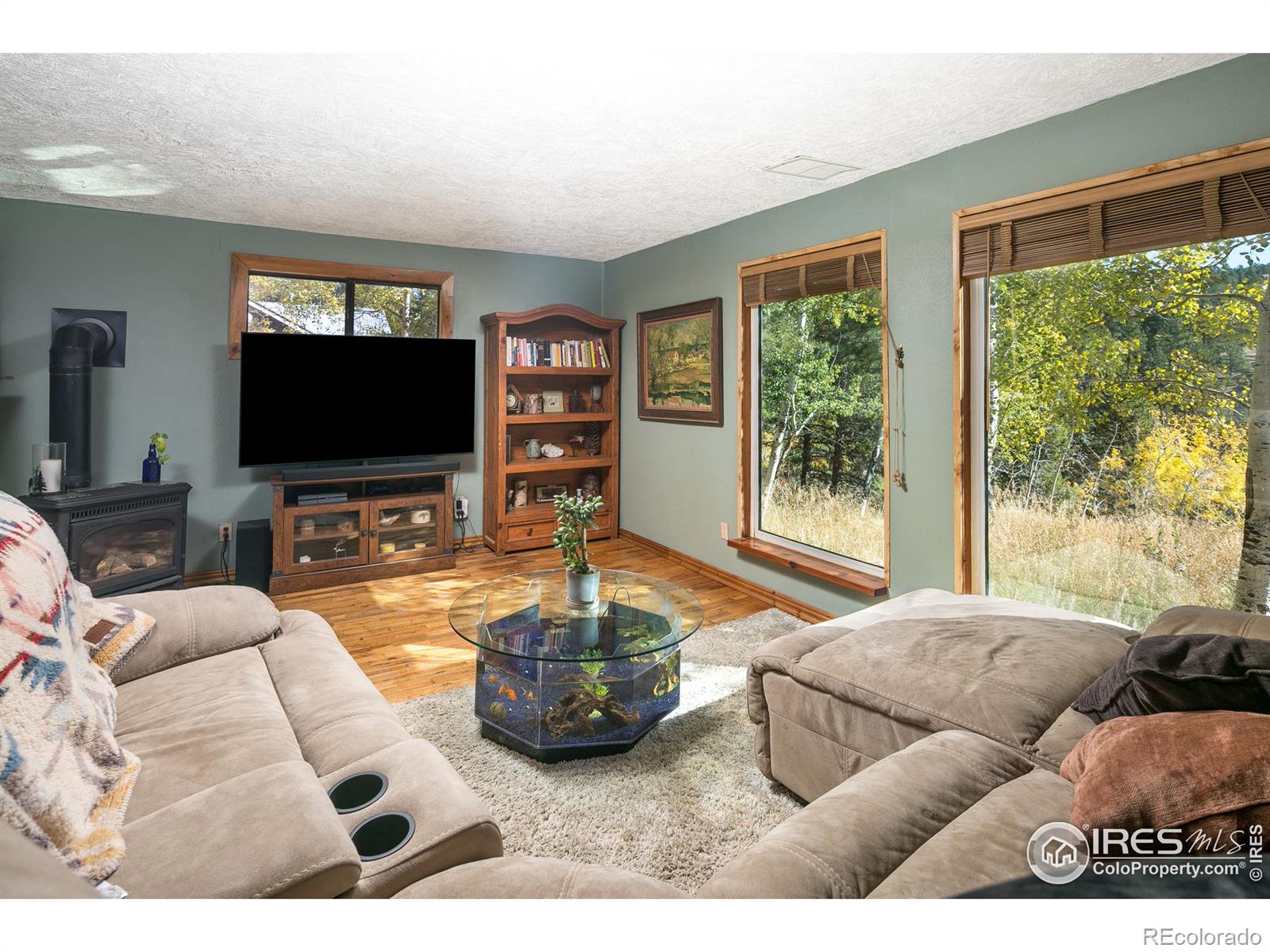 MLS Image #5 for 43  owl drive,rollinsville, Colorado