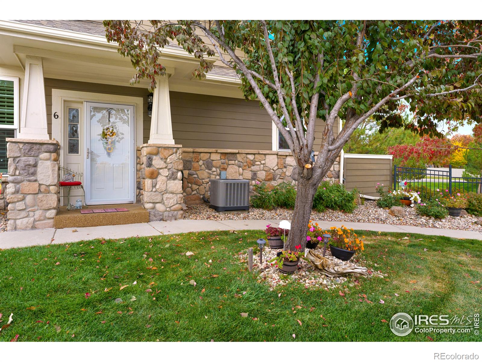 Report Image for 5632  Condor Drive,Fort Collins, Colorado