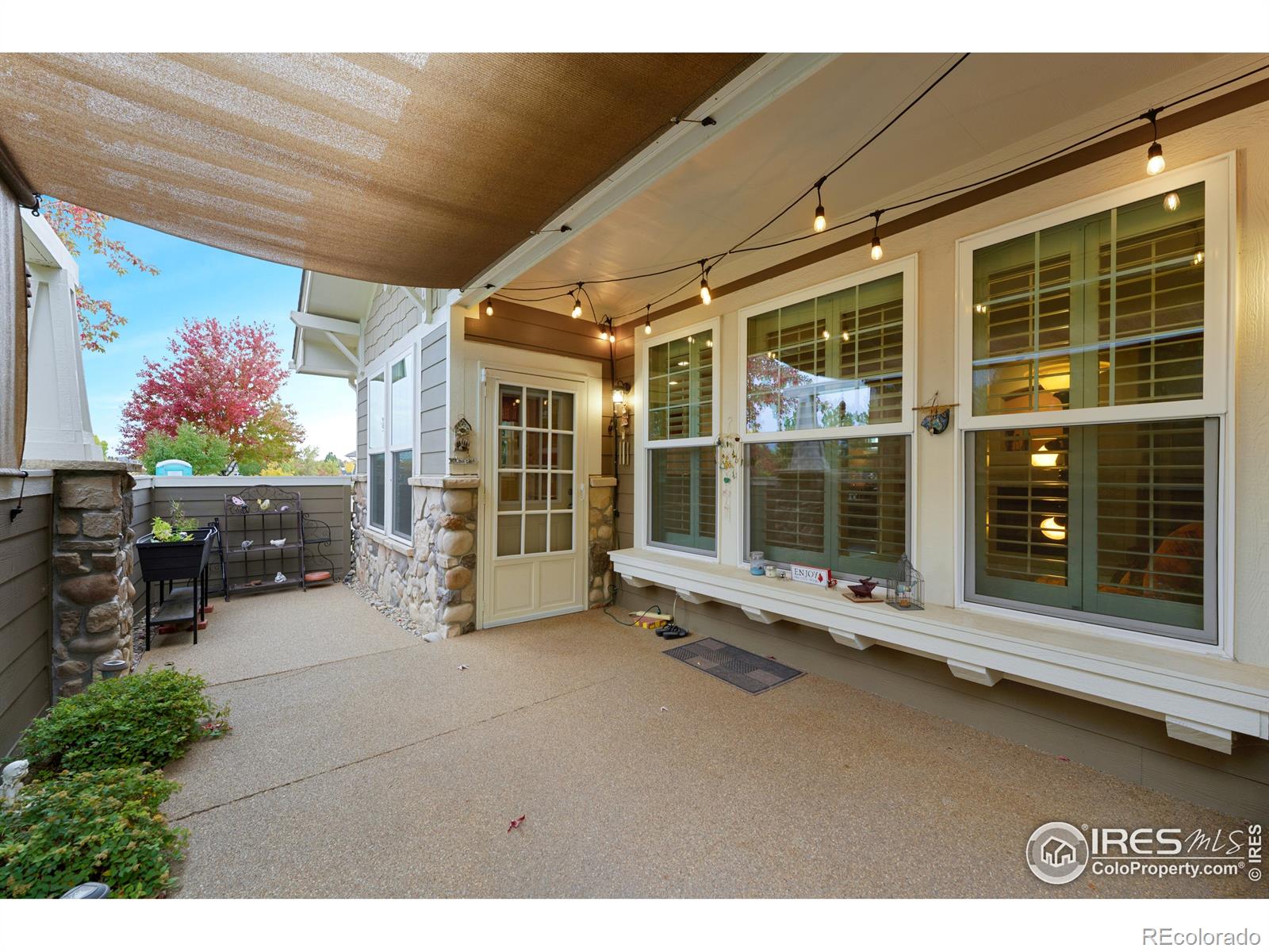 MLS Image #18 for 5632  condor drive,fort collins, Colorado