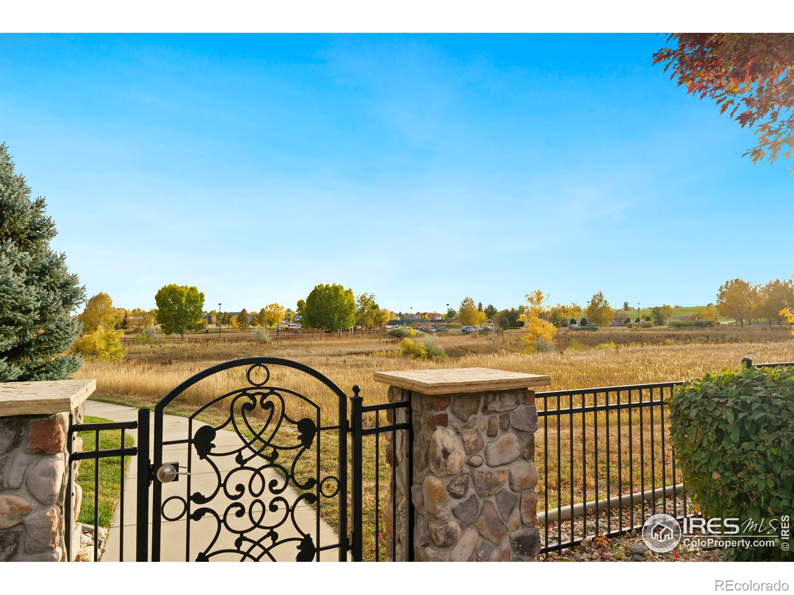 MLS Image #19 for 5632  condor drive,fort collins, Colorado