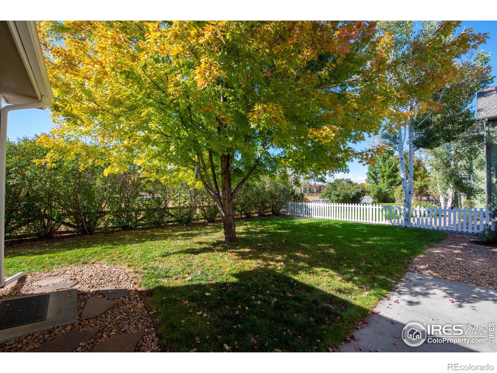 MLS Image #2 for 1431  washburn street,erie, Colorado