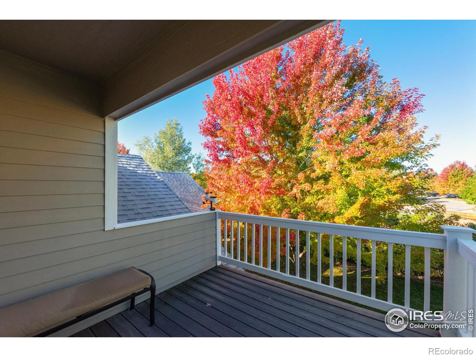 MLS Image #29 for 1431  washburn street,erie, Colorado
