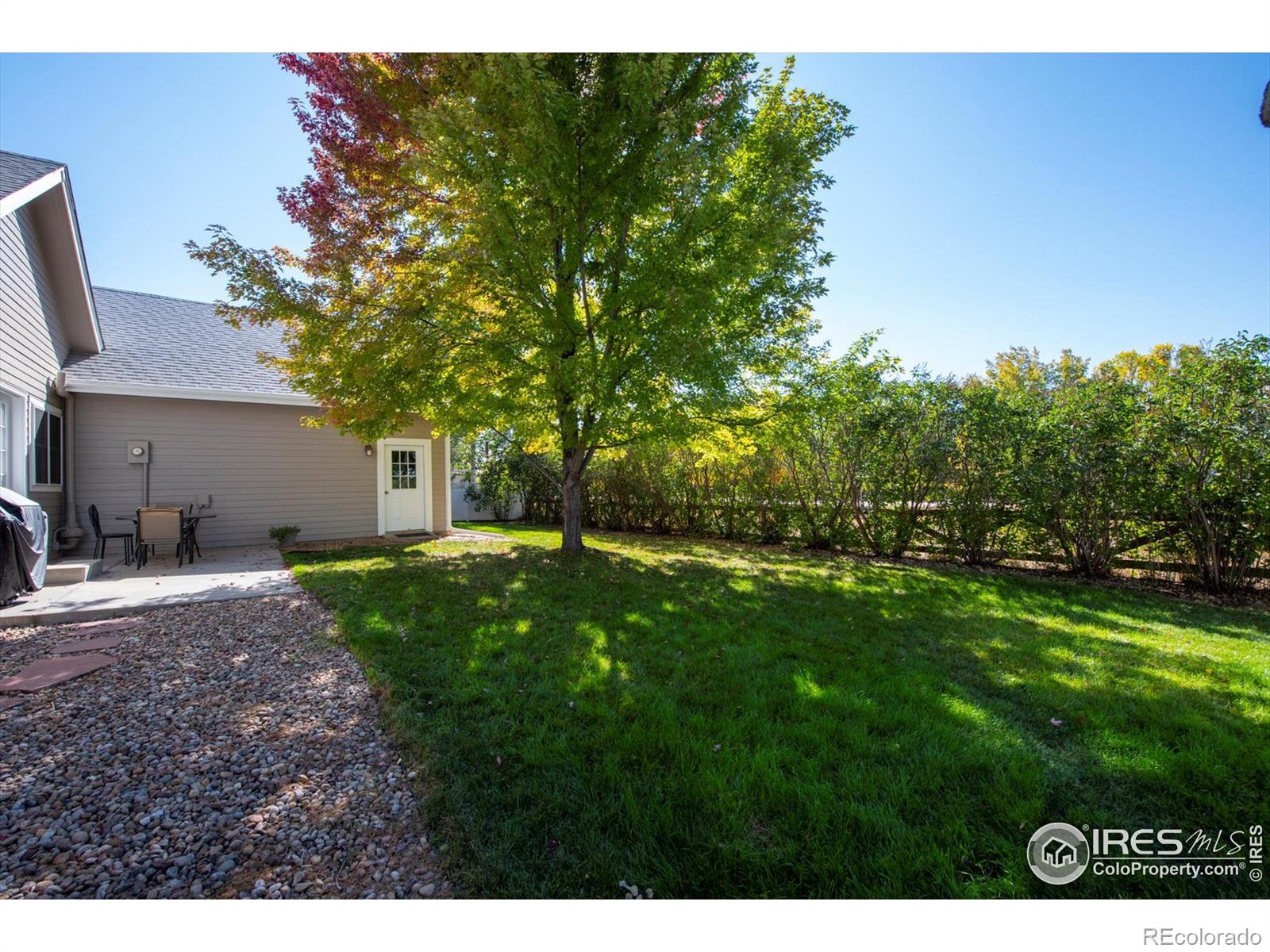 MLS Image #33 for 1431  washburn street,erie, Colorado