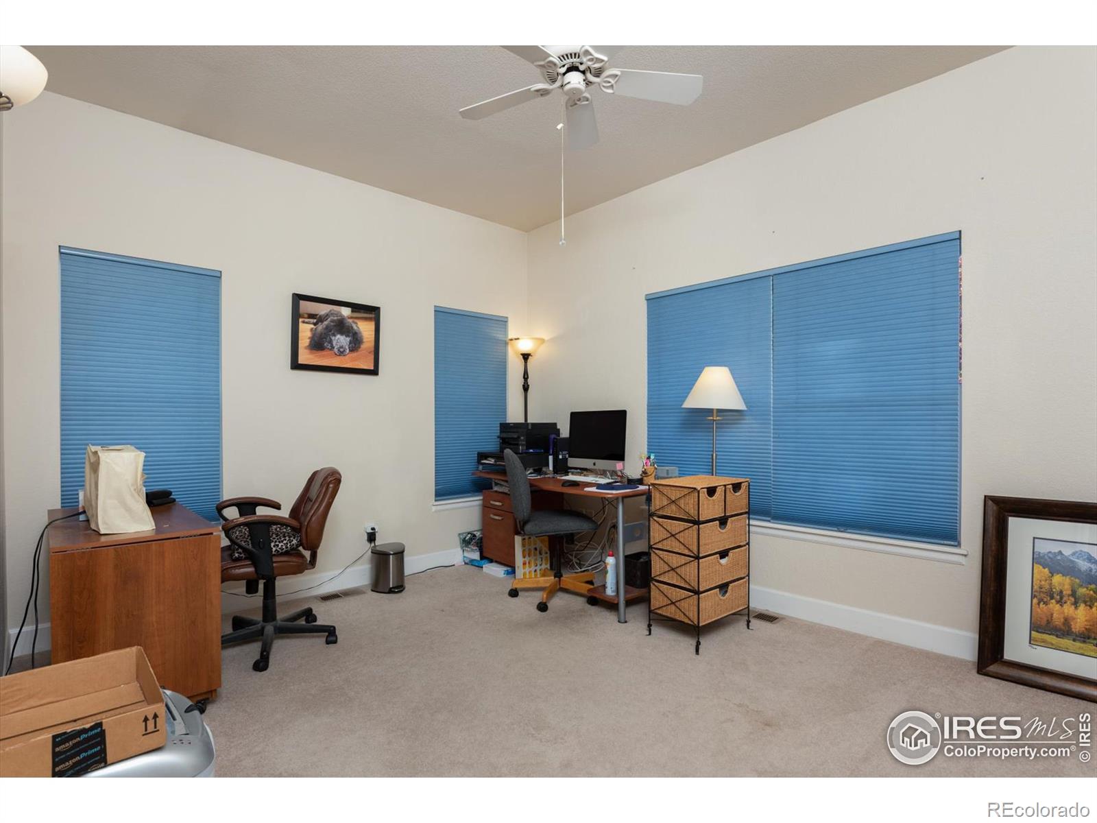 MLS Image #9 for 1431  washburn street,erie, Colorado
