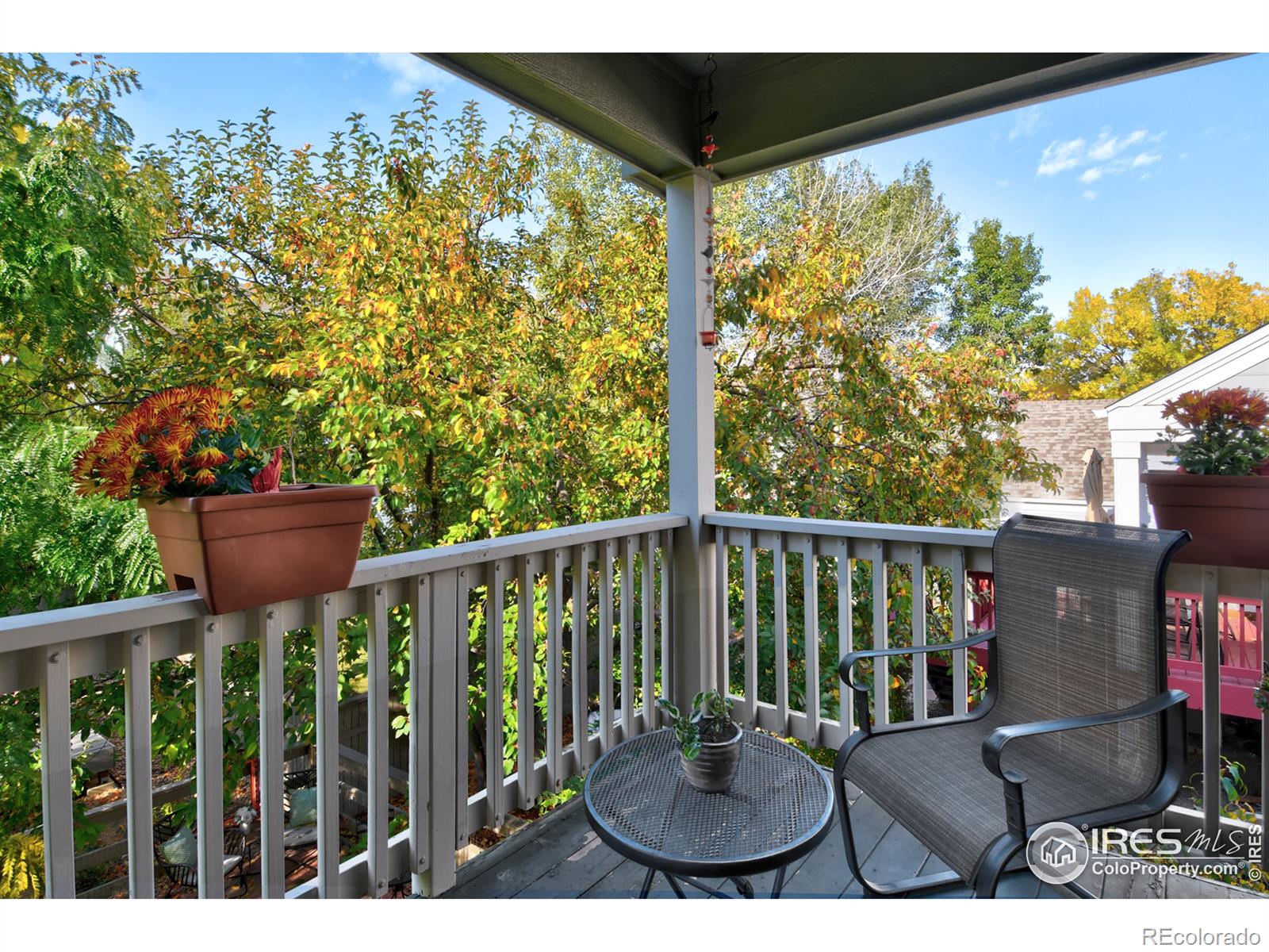 MLS Image #13 for 3837  staghorn drive,longmont, Colorado