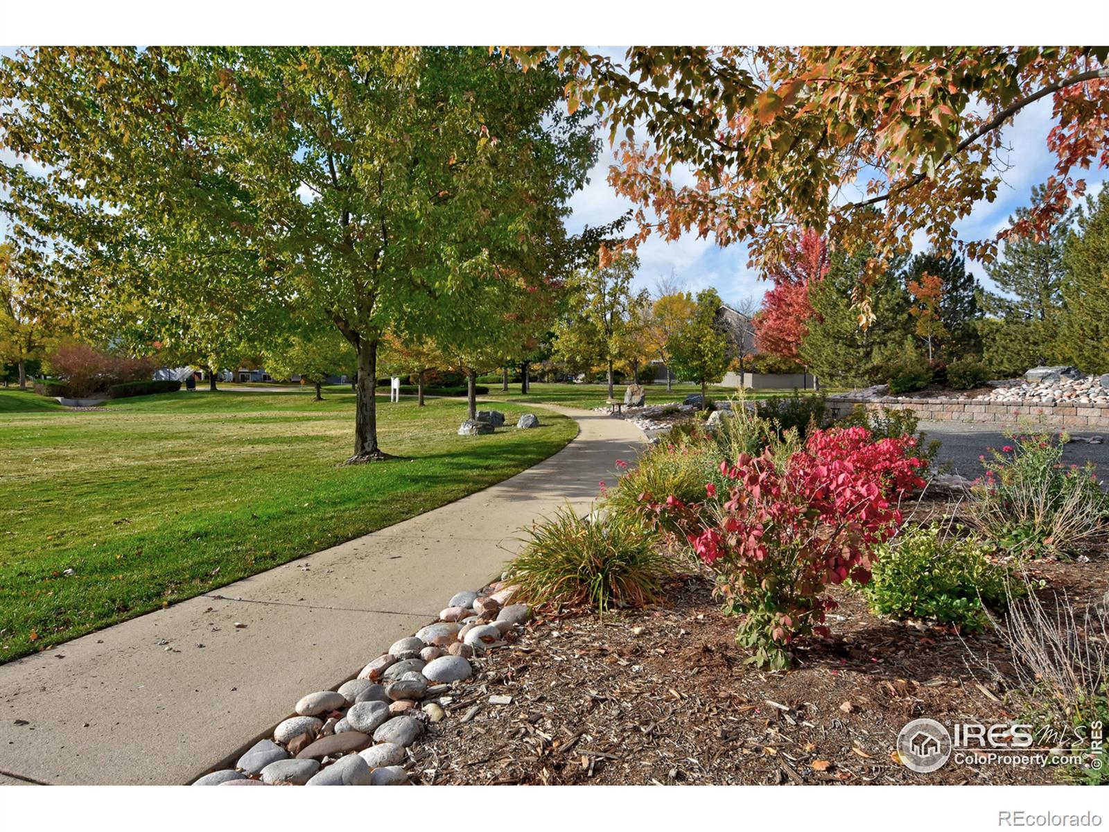 MLS Image #31 for 3837  staghorn drive,longmont, Colorado