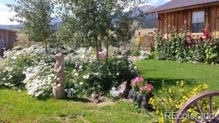 MLS Image #3 for 3755  co rd 125 ,westcliffe, Colorado