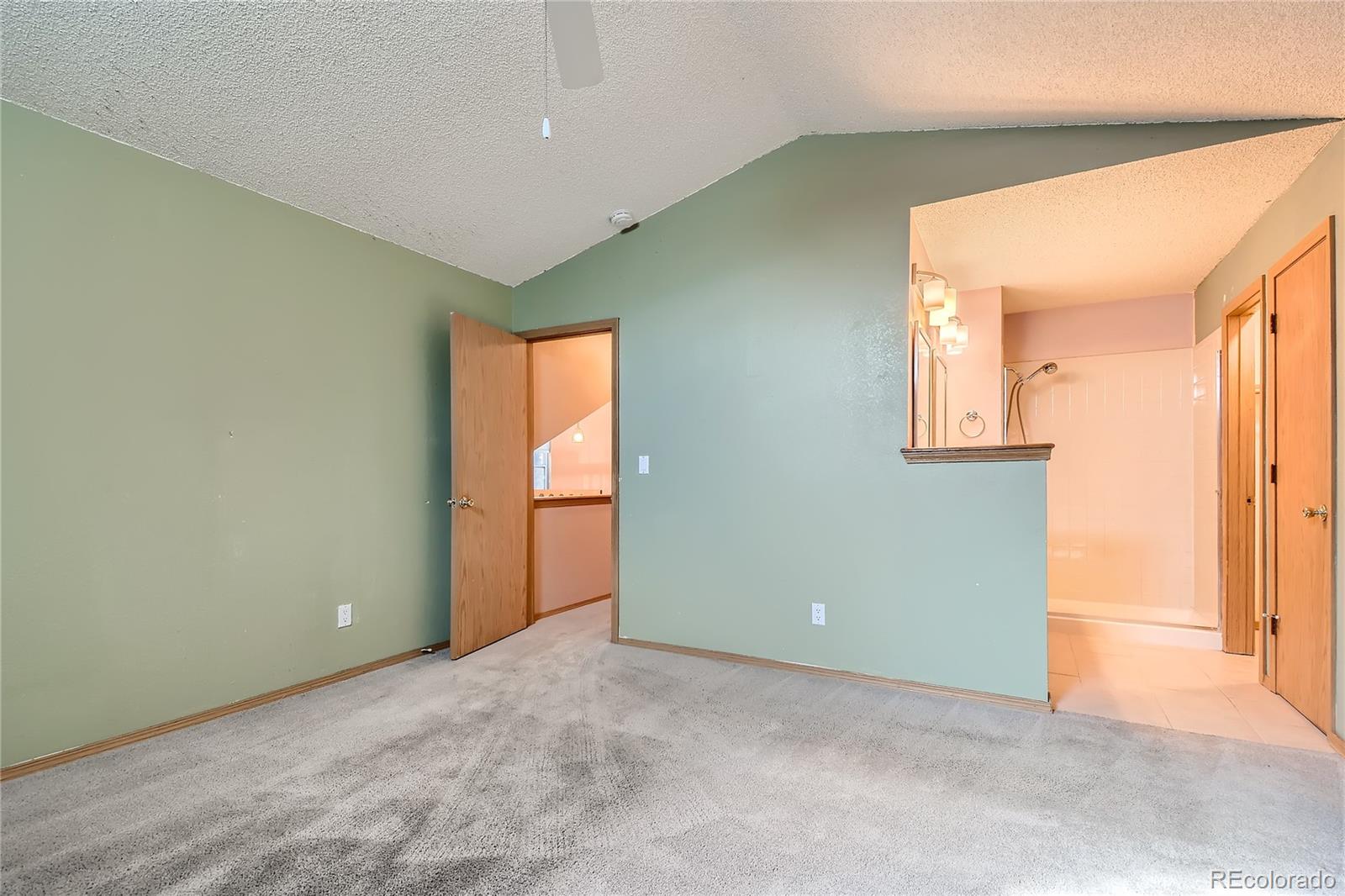 MLS Image #17 for 971  thames street,highlands ranch, Colorado