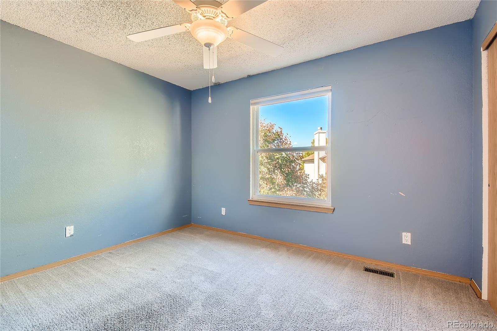 MLS Image #19 for 971  thames street,highlands ranch, Colorado