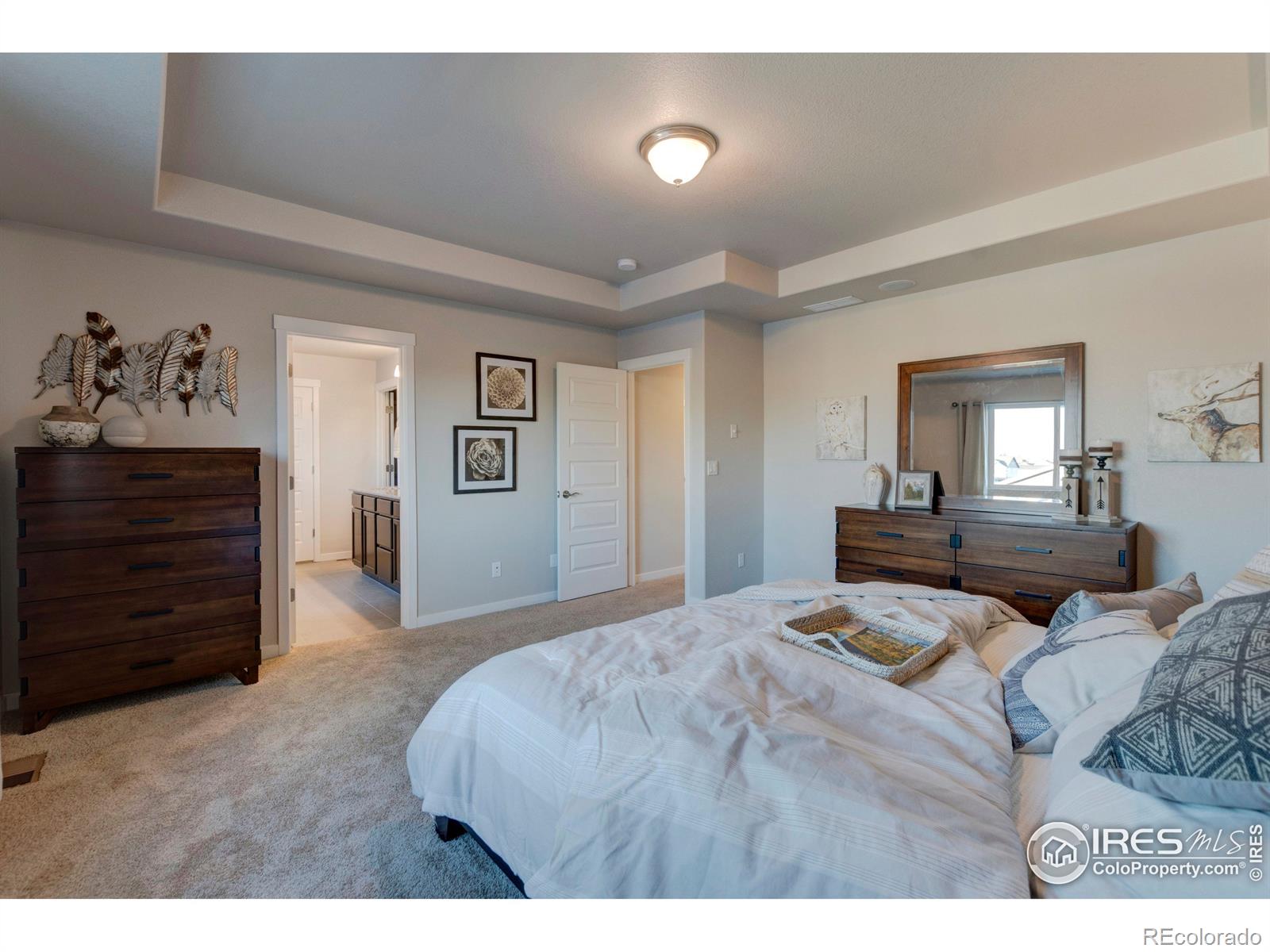 MLS Image #21 for 961  mouflon drive,severance, Colorado