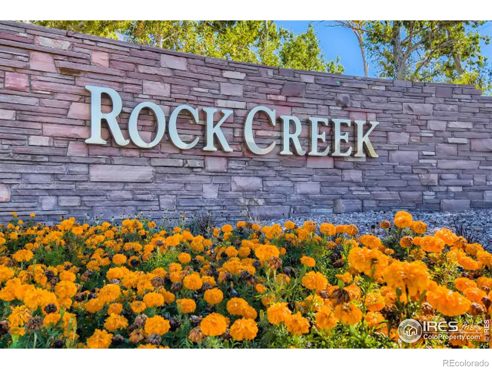 MLS Image #15 for 1837  reliance circle,superior, Colorado