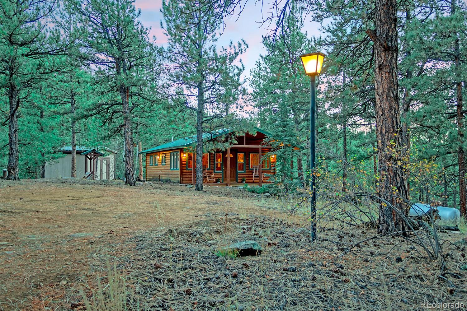 MLS Image #1 for 1356 n crystal road,lake george, Colorado