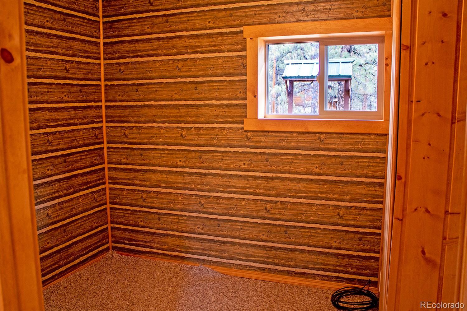MLS Image #11 for 1356 n crystal road,lake george, Colorado