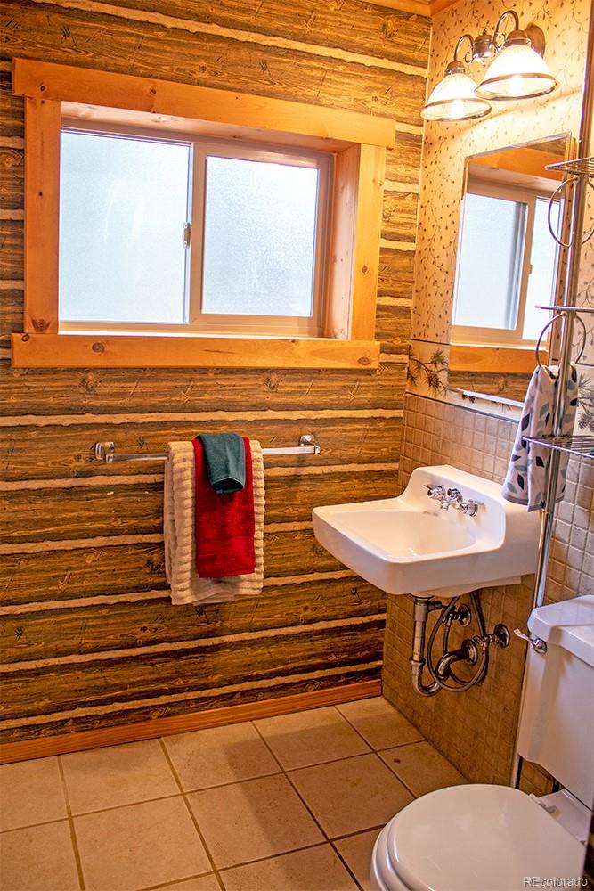 MLS Image #12 for 1356 n crystal road,lake george, Colorado