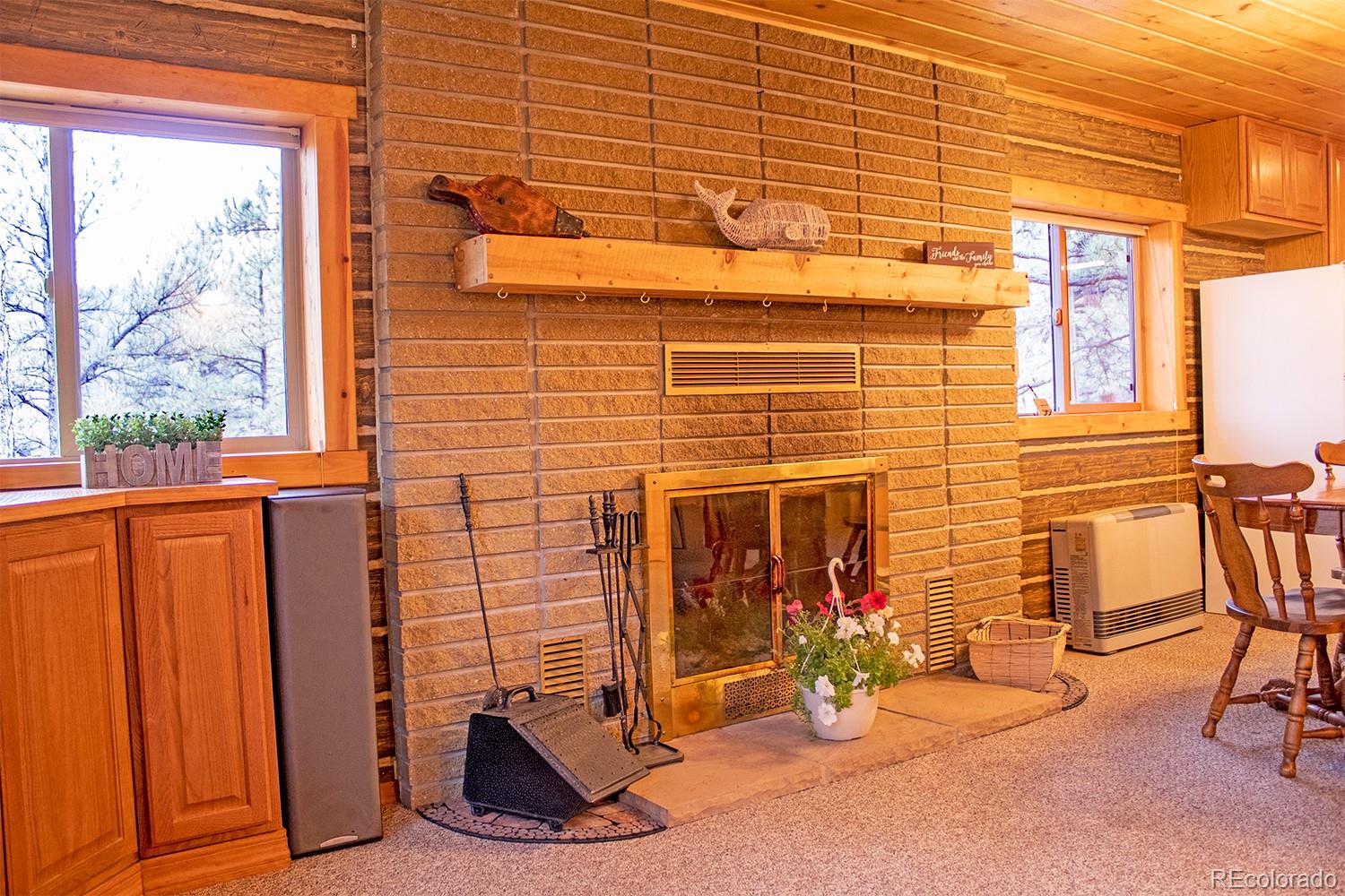 MLS Image #13 for 1356 n crystal road,lake george, Colorado
