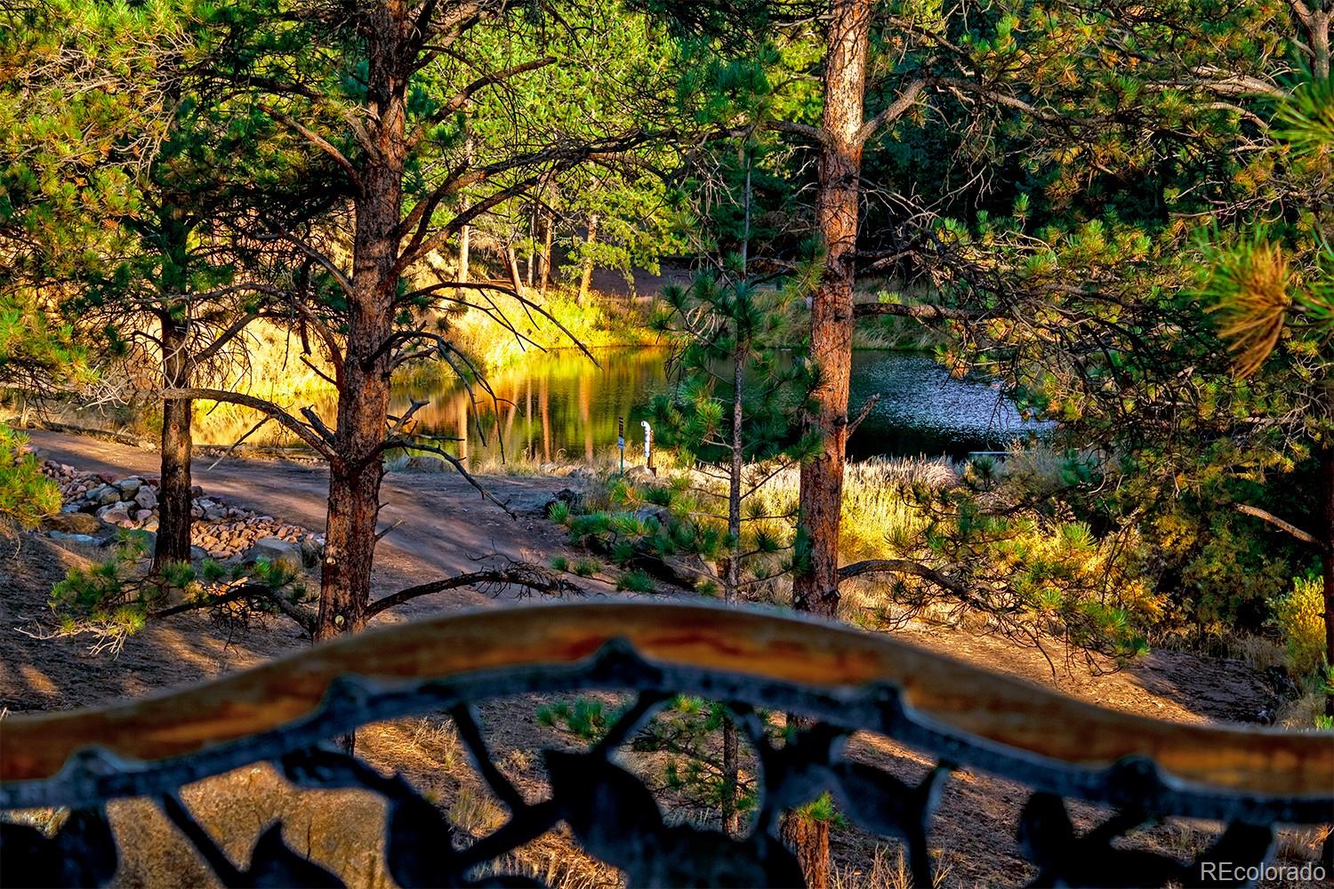 MLS Image #17 for 1356 n crystal road,lake george, Colorado